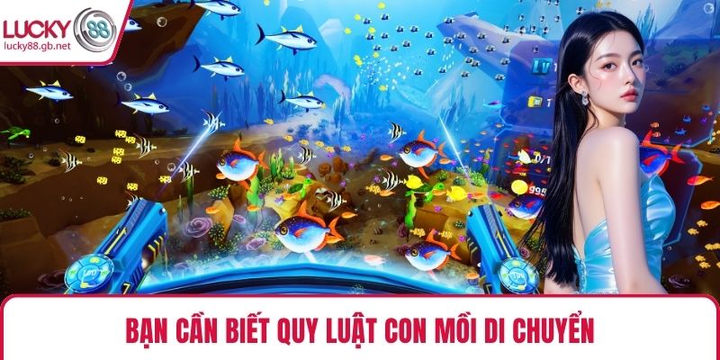 Bạn cần biết quy luật con mồi di chuyển