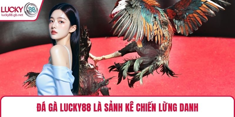 Đá gà LUCKY88 là sảnh kê chiến lừng danh