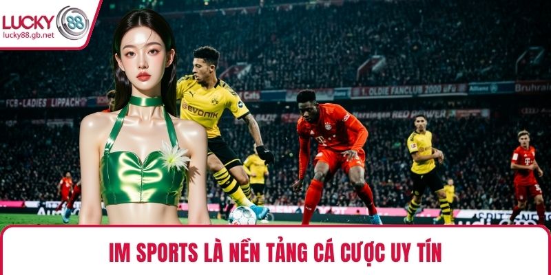 IM Sports là nền tảng cá cược uy tín